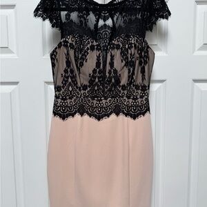 Nikibiki Black and light pink Lace Mini Dress